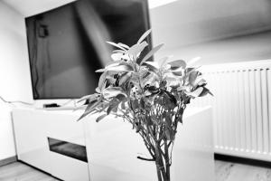 Fotografija v galeriji nastanitve Apartmány Ztracená v mestu Roudnice nad Labem