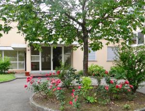 博登斯边的拉多夫采尔Auszeit am Bodensee的前院鲜花的房子