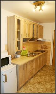 Kuchyňa alebo kuchynka v ubytovaní Apartment Šedivý
