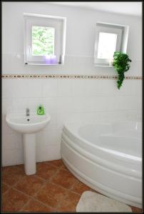 Kúpeľňa v ubytovaní Apartment Šedivý