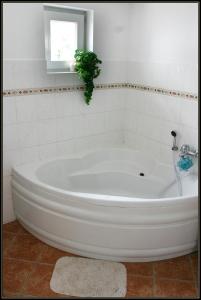 Kúpeľňa v ubytovaní Apartment Šedivý