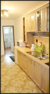 Kuchyňa alebo kuchynka v ubytovaní Apartment Šedivý