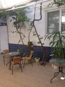 アナパにあるGuesthouse on Terskayaのパティオ(テーブル、椅子、植物付)