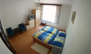 1 dormitorio con 1 cama, TV y ventana en Penzion pod vejmutovym lesom, en Kremnica