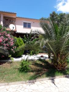 eine Palme vor einem Haus in der Unterkunft Apartman Ilaria in Medulin