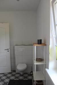 a bathroom with a white toilet in a room at Ferienhaus Lilli in Pruchten