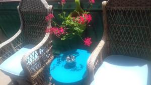 Zahrada ubytování LUXURY APARTMENT KALA 2