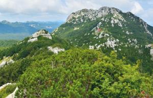 a mountain with trees and mountains in the background at Kod Korita Rooms in Crni Lug