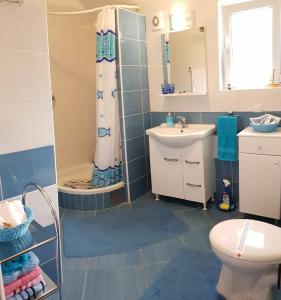 a bathroom with a shower and a toilet and a sink at Apartment "I Love Njivice" in Herceg-Novi +52 photos