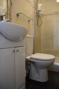 a white toilet sitting in a bathroom next to a sink at Greenmount Bed and Breakfast in Belfast