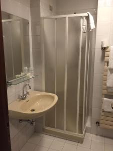 La salle de bains est pourvue d'un lavabo et d'une douche. dans l'établissement Hotel Villa Marina, à La Maddalena