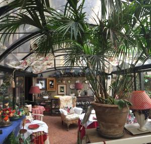 une chambre avec une grande plante en pot sur une table dans l'établissement Hotel Gabbia D'Oro, à Vérone