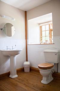 a bathroom with a toilet and a sink and a mirror at Larkrise Cottage Bed And Breakfast in Stratford-upon-Avon