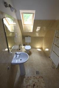 een badkamer met een wastafel en een toilet bij Boncz Udvar in Praid