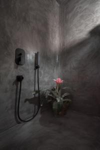 Fotografie z fotogalerie ubytování Sophia Boutique Hotel v destinaci Oia