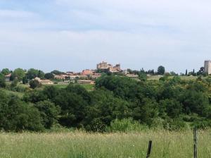 un villaggio su una collina con un castello in lontananza di Appartement indépendant le Mahana a Magalas