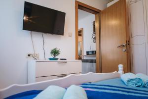 TV a/nebo společenská místnost v ubytování Apartment Danica