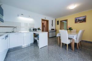 Kuchyň nebo kuchyňský kout v ubytování Apartment Danica + 9 fotografií
