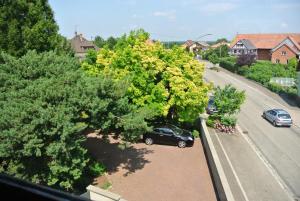 a car parked on the side of a road with trees at Abricot & Chocolat in Niederschaeffolsheim