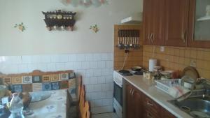 cocina con fregadero y fogones horno superior en Gerania ház, en Vonyarcvashegy