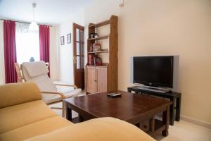 Televízia a/alebo spoločenská miestnosť v ubytovaní Apartamento Torcal Écija