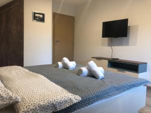 Postel nebo postele na pokoji v ubytování Apartmani Izvor - Tuheljske Toplice
