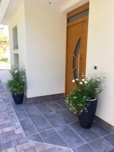 Zahrada ubytování Apartmani Izvor - Tuheljske Toplice