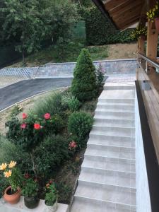 Zahrada ubytování Apartmani Izvor - Tuheljske Toplice
