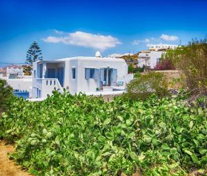 a house with a lot of plants in front of it at Sole Mare Villa in Mikonos