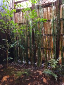 En have udenfor 色絵古都 IROEKOTO