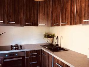 una cocina con armarios de madera y fregadero en Ventspils Center Apartment, en Ventspils