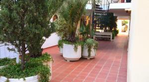 Vonkajšia záhrada v ubytovaní Apartamento in Cullera. Spain