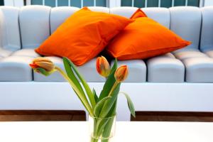 Gallery image of Fiordaliso Hotel in San Felice Circeo