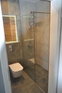 コウォブジェクにあるApartament Shadow Greyのバスルーム(トイレ、ガラス張りのシャワー付)