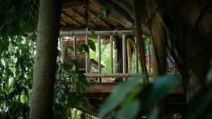 eine Veranda eines Baumhauses im Wald in der Unterkunft Bukit Raya Guesthouse in Palangkaraya