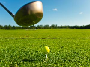 einen Tennisball auf einer Stange im Gras mit Schläger in der Unterkunft Strauers Hotel am See in Bosau