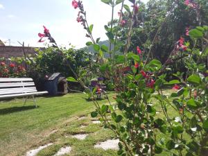 un banco de parque en un jardín con flores en Campagna in Compagnia, en Vallo di Nera