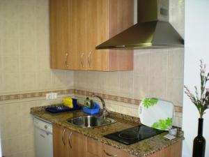 cocina con fregadero y fogones en Apartamentos San Martin en Cuenca