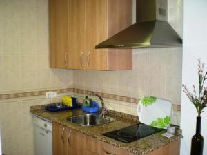 cocina con fregadero y fogones en Apartamentos San Martin, en Cuenca