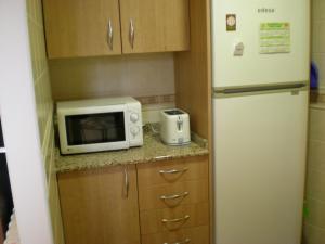 La cuisine est équipée d'un réfrigérateur et d'un four micro-ondes. dans l'établissement Apartamentos San Martin, à Cuenca