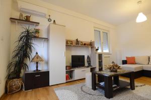 TV a/nebo společenská místnost v ubytování Apartment Lux Lomina