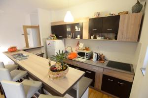 Kuchyň nebo kuchyňský kout v ubytování Apartment Lux Lomina