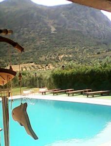 a swimming pool with a shark on the side of it at La Petite Planete in Mykines