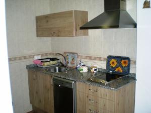 Kuchyňa alebo kuchynka v ubytovaní Apartamentos San Martin
