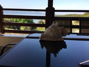una cáscara sentada en una mesa frente a una ventana en Athinaios Porto Klisouri Villa en Ierissos