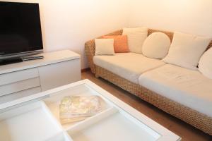 een woonkamer met een bank en een flatscreen-tv bij Comfort Lodging Stueckenfeld in Hannover