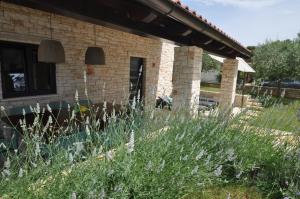Zahrada ubytování Casa Fogoler Fažana