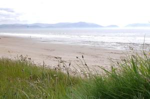 a beach with some grass and the ocean at Seascapes in Inch