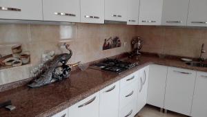Kuchyň nebo kuchyňský kout v ubytování Guest House Vitali + 37 fotografií