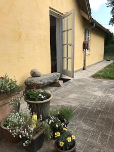 a garden with flowers in front of a building at Tranum Lys og Glas in Brovst